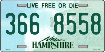 NH license plate 3668558