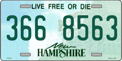 NH license plate 3668563