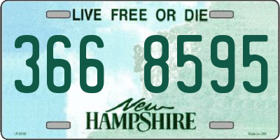 NH license plate 3668595