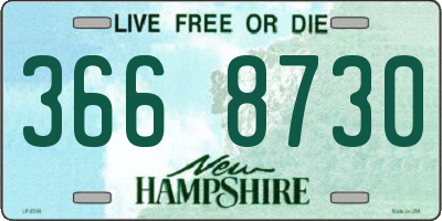 NH license plate 3668730