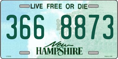 NH license plate 3668873