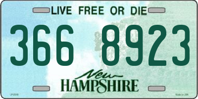 NH license plate 3668923