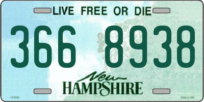 NH license plate 3668938