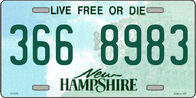 NH license plate 3668983