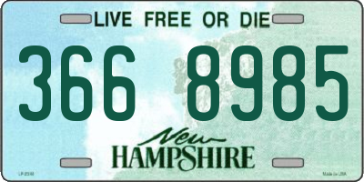NH license plate 3668985
