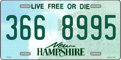 NH license plate 3668995