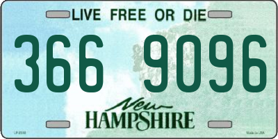 NH license plate 3669096