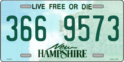 NH license plate 3669573