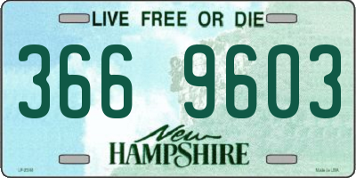 NH license plate 3669603