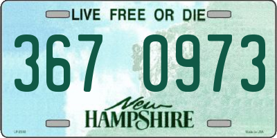 NH license plate 3670973
