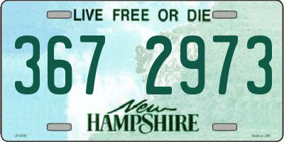 NH license plate 3672973