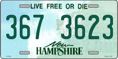 NH license plate 3673623