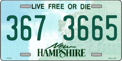 NH license plate 3673665