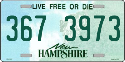NH license plate 3673973