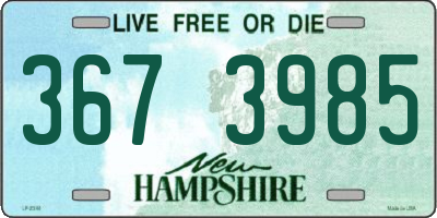 NH license plate 3673985