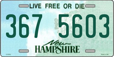 NH license plate 3675603