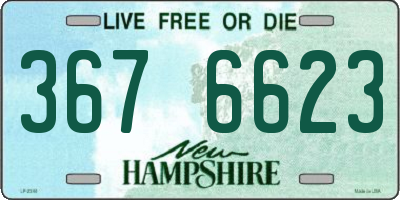 NH license plate 3676623