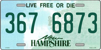 NH license plate 3676873