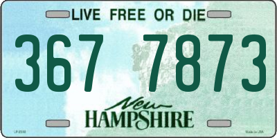 NH license plate 3677873