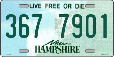 NH license plate 3677901