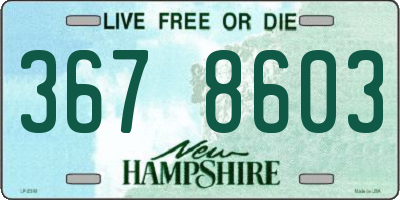NH license plate 3678603