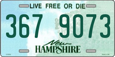 NH license plate 3679073