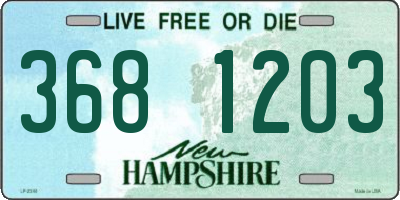 NH license plate 3681203