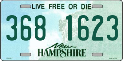NH license plate 3681623