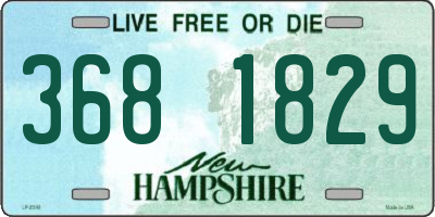 NH license plate 3681829