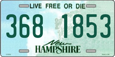 NH license plate 3681853