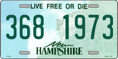 NH license plate 3681973
