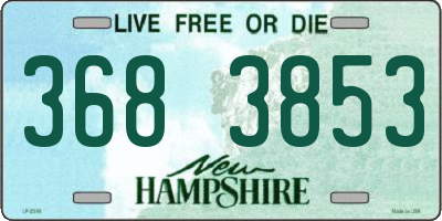 NH license plate 3683853
