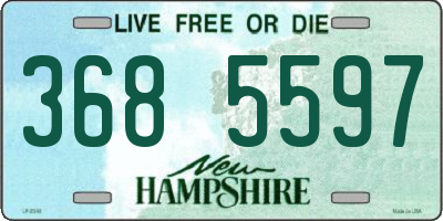 NH license plate 3685597
