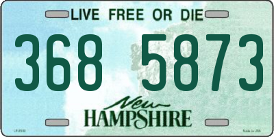 NH license plate 3685873