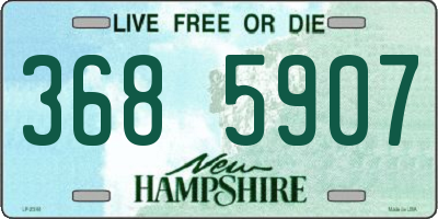 NH license plate 3685907