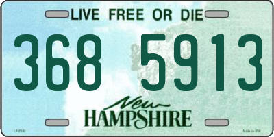 NH license plate 3685913