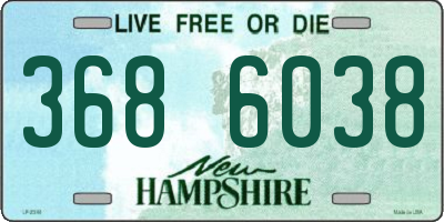 NH license plate 3686038