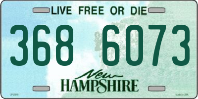 NH license plate 3686073