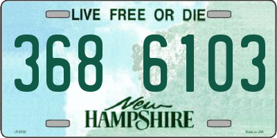 NH license plate 3686103