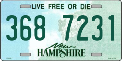 NH license plate 3687231