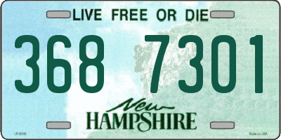 NH license plate 3687301