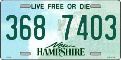 NH license plate 3687403