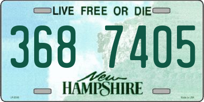 NH license plate 3687405
