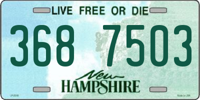 NH license plate 3687503