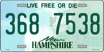NH license plate 3687538