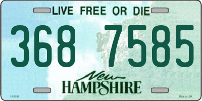 NH license plate 3687585
