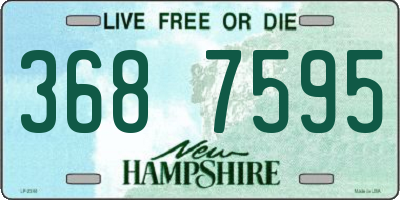 NH license plate 3687595