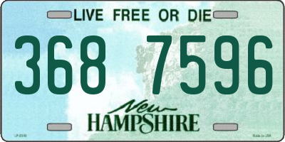 NH license plate 3687596