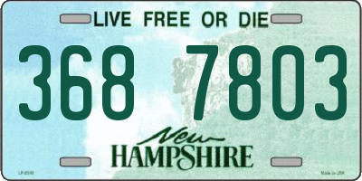 NH license plate 3687803