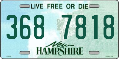 NH license plate 3687818